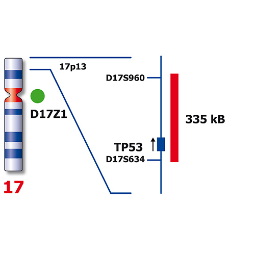 IVD TP53/SE 17 製品画像 Back View S